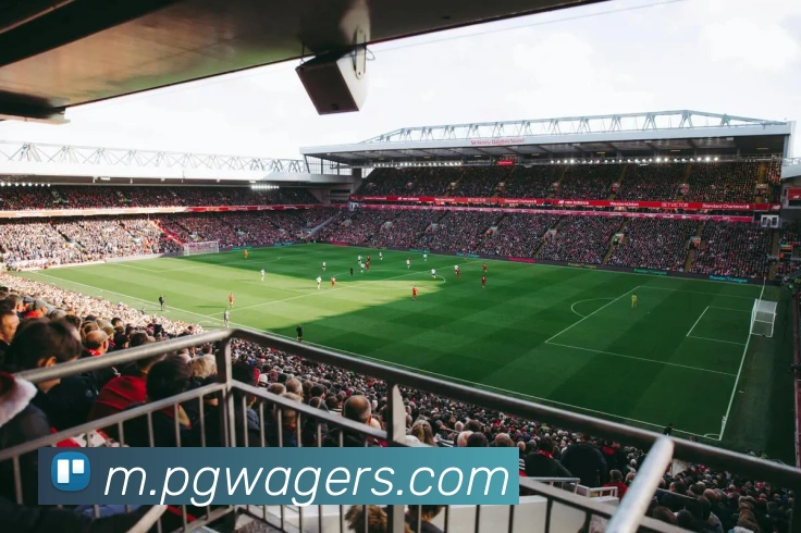 pg电子平台生态图